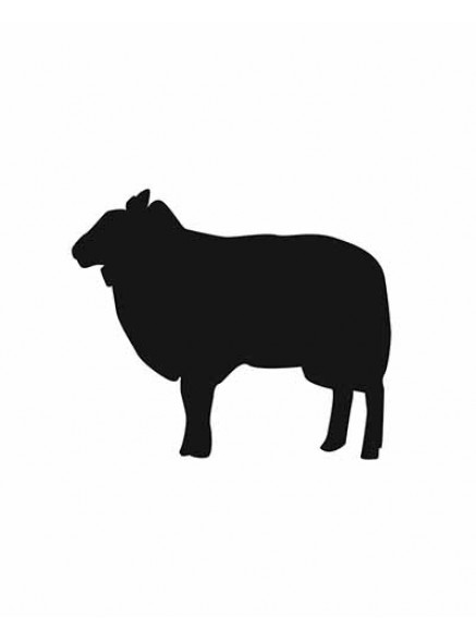 Меловой ценник формата А6 "Овца"